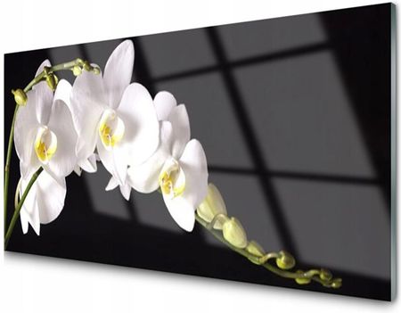 Tulup Obraz Na Szkle Szklany Kwiaty Roślina 100X50