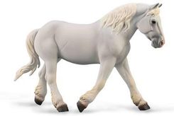 Zdjęcie Collecta Klacz Boulonnais Maści Szarej - Zielona Góra