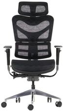 Zdjęcie Ergonomiczne krzesło obrotowe/biurowe ErgoNew S7 - wysuw siedziska, regulowane oparcie, podłokietniki i zagłówek, siedzisko siatkowe, podstawa alumini - Pasym