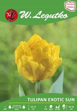Zdjęcie Legutko Tulipan Exotic Sun Strzępiasty Żółty 4szt. - Wyrzysk