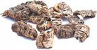 Bioterr® Biocork Bits Ścinki Kory Dębu Korkowego do Terrarium 500g