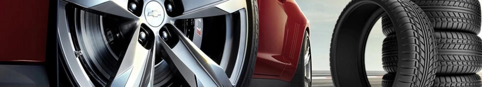 Westlake Z 401 225/55 R18 98 V | CHECK24