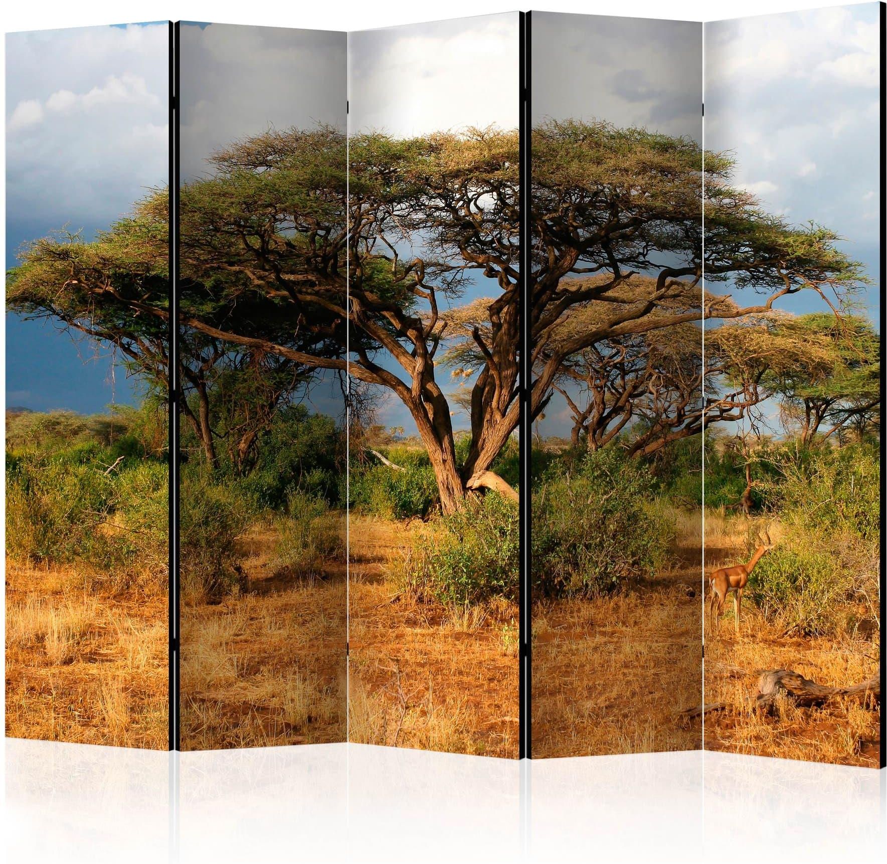 Artgeist Parawan 5 Częściowy W Krainie Samburu Kenia Ii Room Dividers