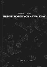 Zdjęcie Miliony rozbitych kawałków - Knyszyn