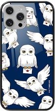 Ert Group Etui Na Telefon Apple Iphone 13 Case Oryginalnyoficjalnie Licencjonowany Przez Harry Potter Wzór 241 Wykonany Z Hartowane