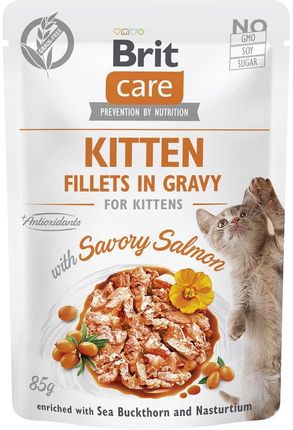 Brit Care Cat Kitten Fillets In Gravy With Savory Salmon Enriched With Sea Buckthorn And Nasturtium 24x85G