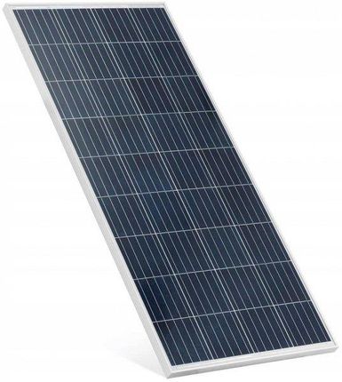 Msw Panel PV 170W 10062432 S-Power PP18/170