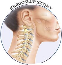 Zdjęcie Seminarium KRĘGOSŁUP SZYJNY- nagranie - Kowary