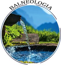 Zdjęcie Seminarium BALNEOLOGIA- nagranie - Głuszyca