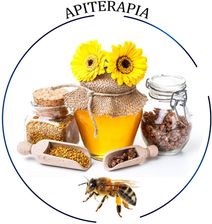 Zdjęcie Seminarium APITERAPIA- nagranie - Legnica