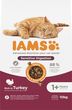 IAMS Cat Adult Sensitive Digestion Karma dla kota 10kg