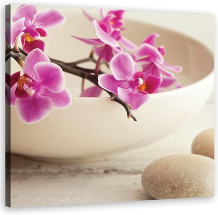 Feeby Obraz Na Płótnie Różowe Orchidee Kwiaty ( 40X40) 1491753