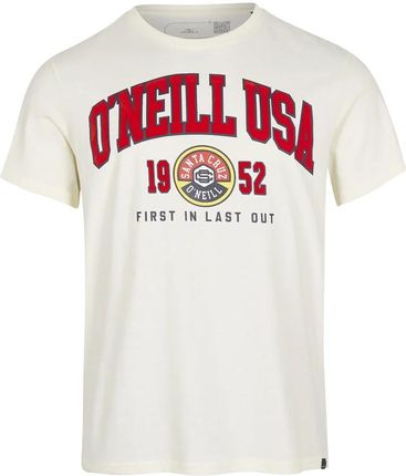 Męska Koszulka z krótkim rękawem O'Neill Surf State T-Shirt 2850116-11010 – Biały