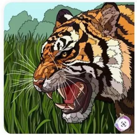 Malowanie po numerach Tygrys ryczący w trawie - Norimpex