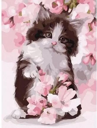 Malowanie po numerach Kotek w kwiatach - Norimpex