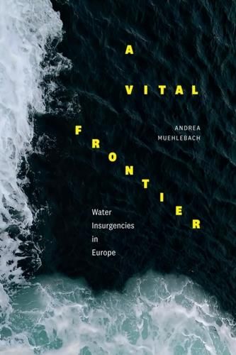 A Vital Frontier Muehlebach, Andrea - Literatura Obcojęzyczna - Ceny I ...