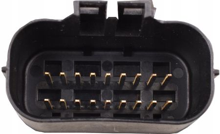 るーシャトル　4ダース Dellorto Sterownik Ecu Euro4 Romet Junak Torq Zipp Barton