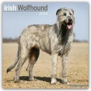 Irish Wolfhound Calendar 2024 Square Dog Breed Wall Calendar - 16 Month
