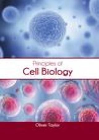 Principles Of Cell Biology - Literatura Obcojęzyczna - Ceny I Opinie ...