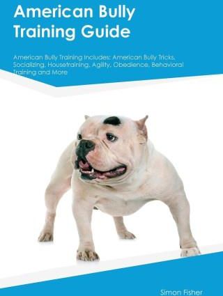 American Bully Training Guide American Bully Training Includes