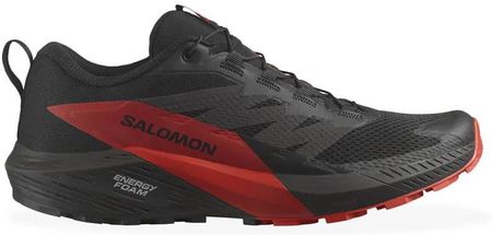 Buty Salomon Sense Ride 5 L47214300 - czarne