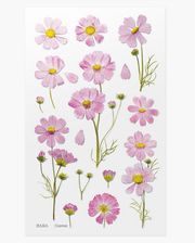 Zdjęcie Naklejki Ozdobne Kwiaty Aster - Otyń