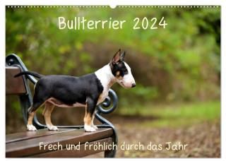 Bullterrier 2024 Frech und fröhlich durch das Jahr (Wandkalender 2024 DIN A2 quer), CALVENDO Monatskalender