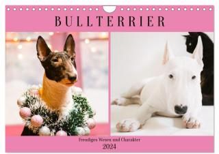 Bullterrier. Freudiges Wesen und Charakter (Wandkalender 2024 DIN A4 quer), CALVENDO Monatskalender