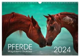 Pferde - Magdalena Strakova (Wandkalender 2024 DIN A3 quer), CALVENDO Monatskalender
