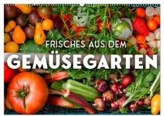 Frisches aus dem Gemüsegarten (Wandkalender 2024 DIN A2 quer), CALVENDO