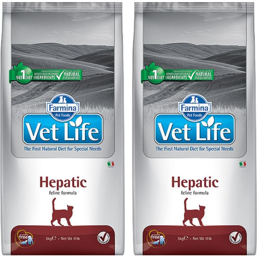 Karma Farmina Vet Life Hepatic Cat 2x10kg - Ceny i opinie - Ceneo.pl