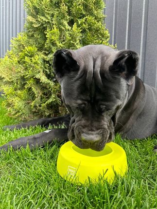 Waudog Silikonowa miska dla psa niewysypka 1000 ml - zdjęcie 2
