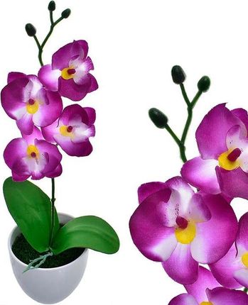 Partner Storczyk Doniczka Kwiat Orchidea Stroik 35