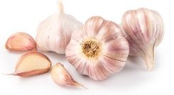 Zdjęcie Equiherbs Czosnek Granulowany 2kg - Wojcieszów