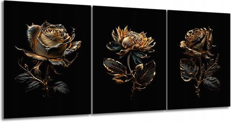 Aleobrazy Obraz Kwiaty 12 Black Gold 3 Częściowy 120X55
