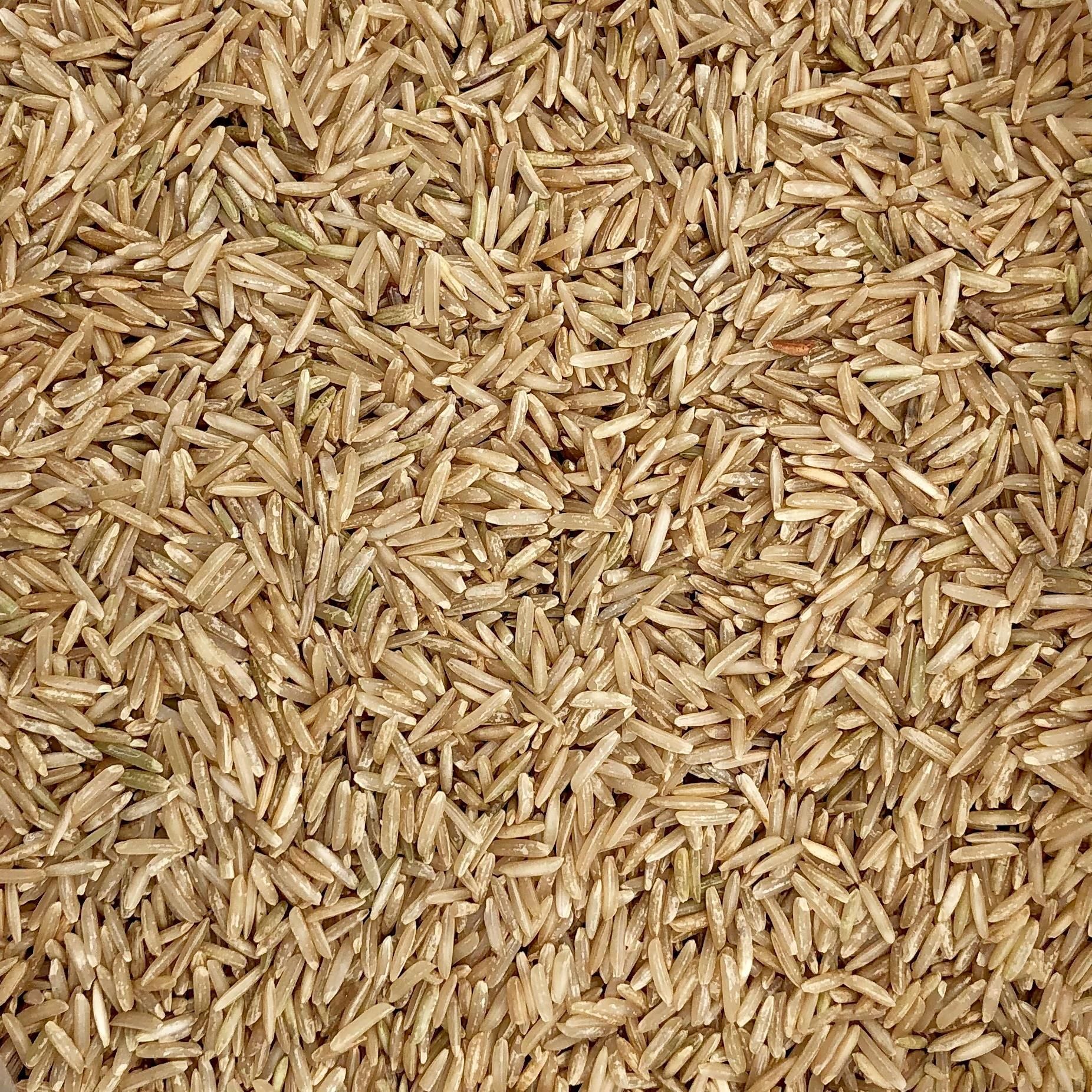 Balsami Rice Champone Karma Champion Ryż Basmati Ziarno Czysty Do Gotowania Biały 20Kg - Ceny ...