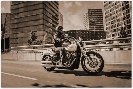 Zesmakiem Harley Davidson Motocykl