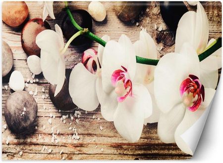 Feeby Emaga Orchidea Zen Feng Shui 200X140