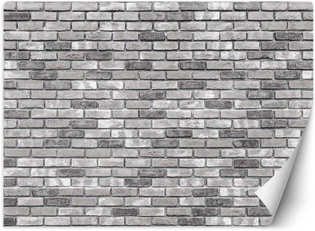 Feeby Emaga Mur Z Szarej Cegły 250X175