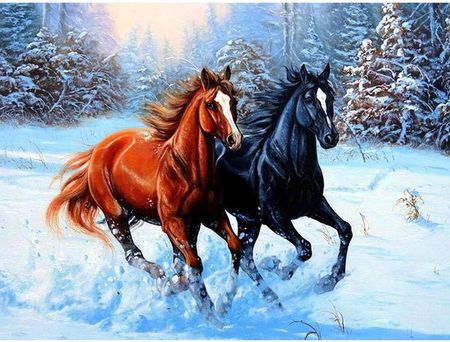 Norimpex Malowanie Po Numerach Konie Galopujące W Śniegu