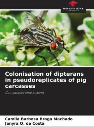 Colonisation of dipterans in pseudoreplicates of pig carcasses
