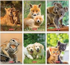 Zdjęcie Zeszyt A5/32 kratka ANIMALS HERLITZ 9563594/9583063 /mix wzorów okładek/ kpl. 5 szt. - Poręba