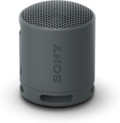 Sony XB100 czarny (SRSXB100B)
