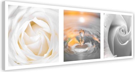 Feeby Obraz Na Płótnie Róże,Kwiaty,Krople Wody,Biały 90X30 826500