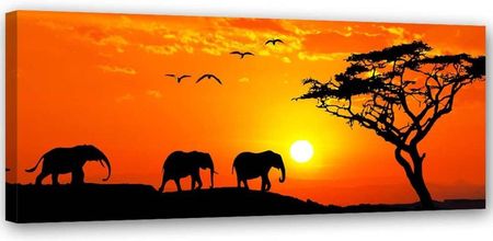 Feeby Obraz Na Płótnie Panorama Sawanny W Afryce 90X30 826533