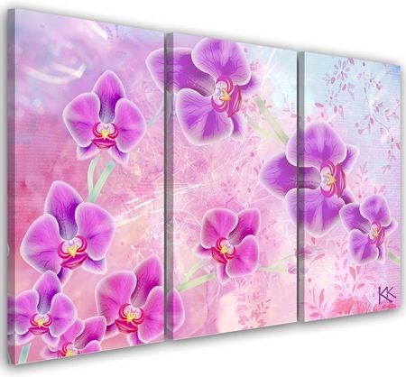 Feeby Obraz Trzyczęściowy Na Płótnie Orchidea Kwiaty Abstrakcja 90X60 832180