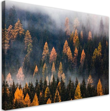 Feeby Obraz Na Płótnie Jesienny Krajobraz Drzew 90X60 832752