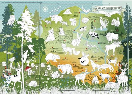 Ramiz Mapa Zwierzęta Polski Kolorowanka Edukacyjna Kod: Ra-Map-000101