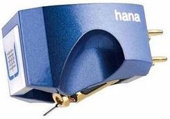 Zdjęcie HANA-Umami Blue - Piotrków Trybunalski