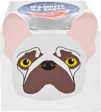 Zdjęcie Mcd Organizer Na Biurko Piesek - Kraków